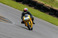 PJ-Motorsport-2019;anglesey-no-limits-trackday;anglesey-photographs;anglesey-trackday-photographs;enduro-digital-images;event-digital-images;eventdigitalimages;no-limits-trackdays;peter-wileman-photography;racing-digital-images;trac-mon;trackday-digital-images;trackday-photos;ty-croes